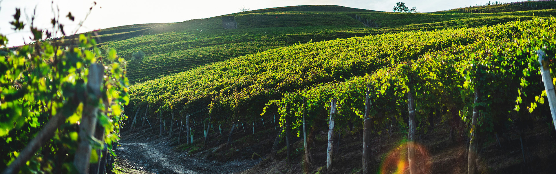 Weinauktion Datenschutz