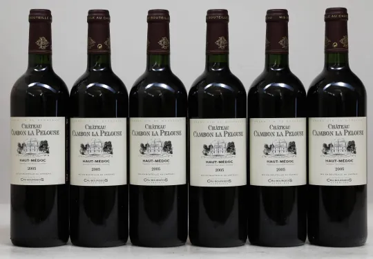 Chateau Cambon la Pelouse