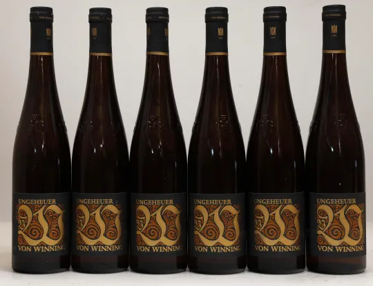 Forster Ungeheuer Riesling Grosses Gewächs 