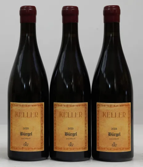 Dalsheimer Bürgel Spätburgunder Grosses Gewächs